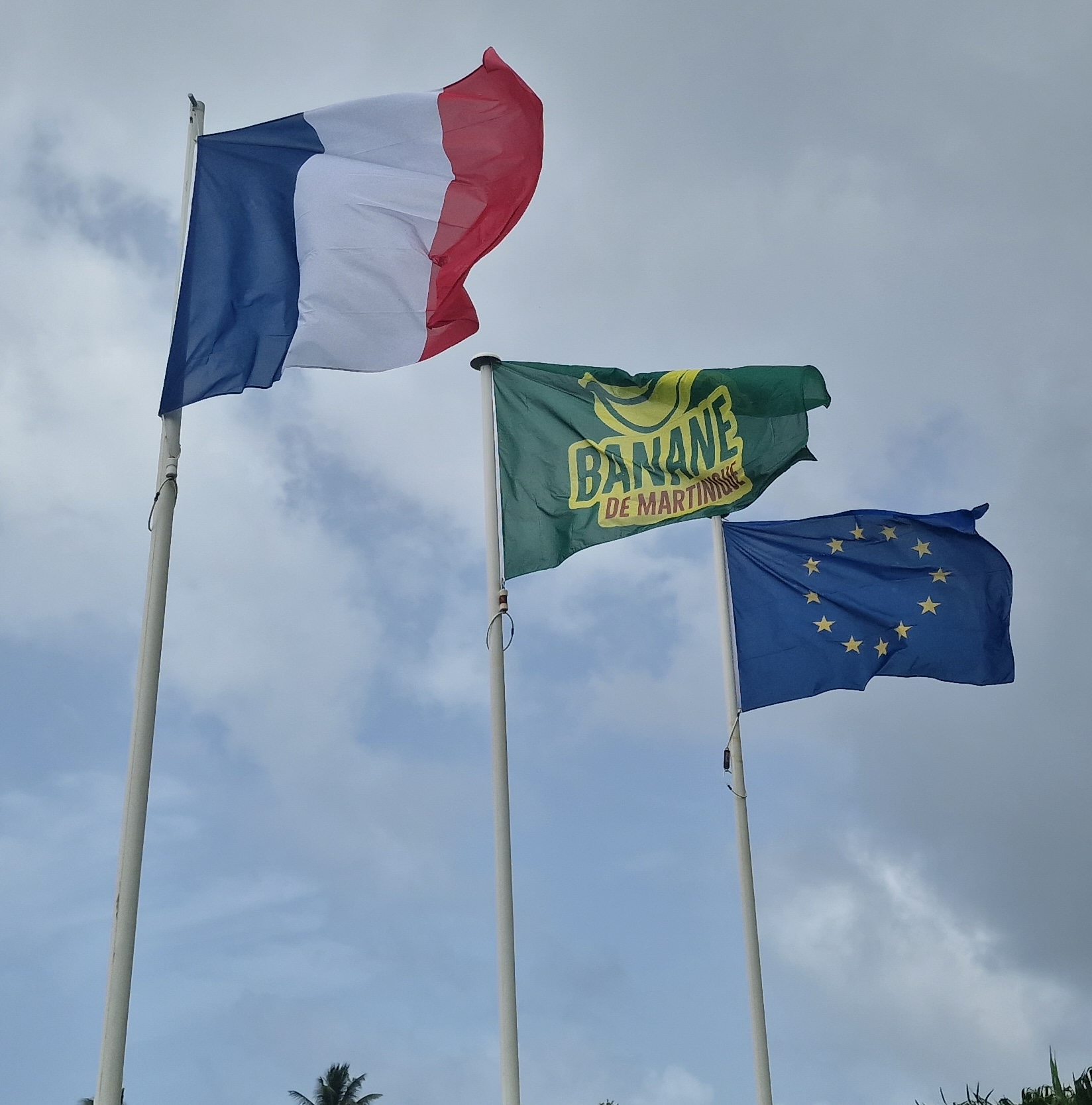 Beachflag personnalisé